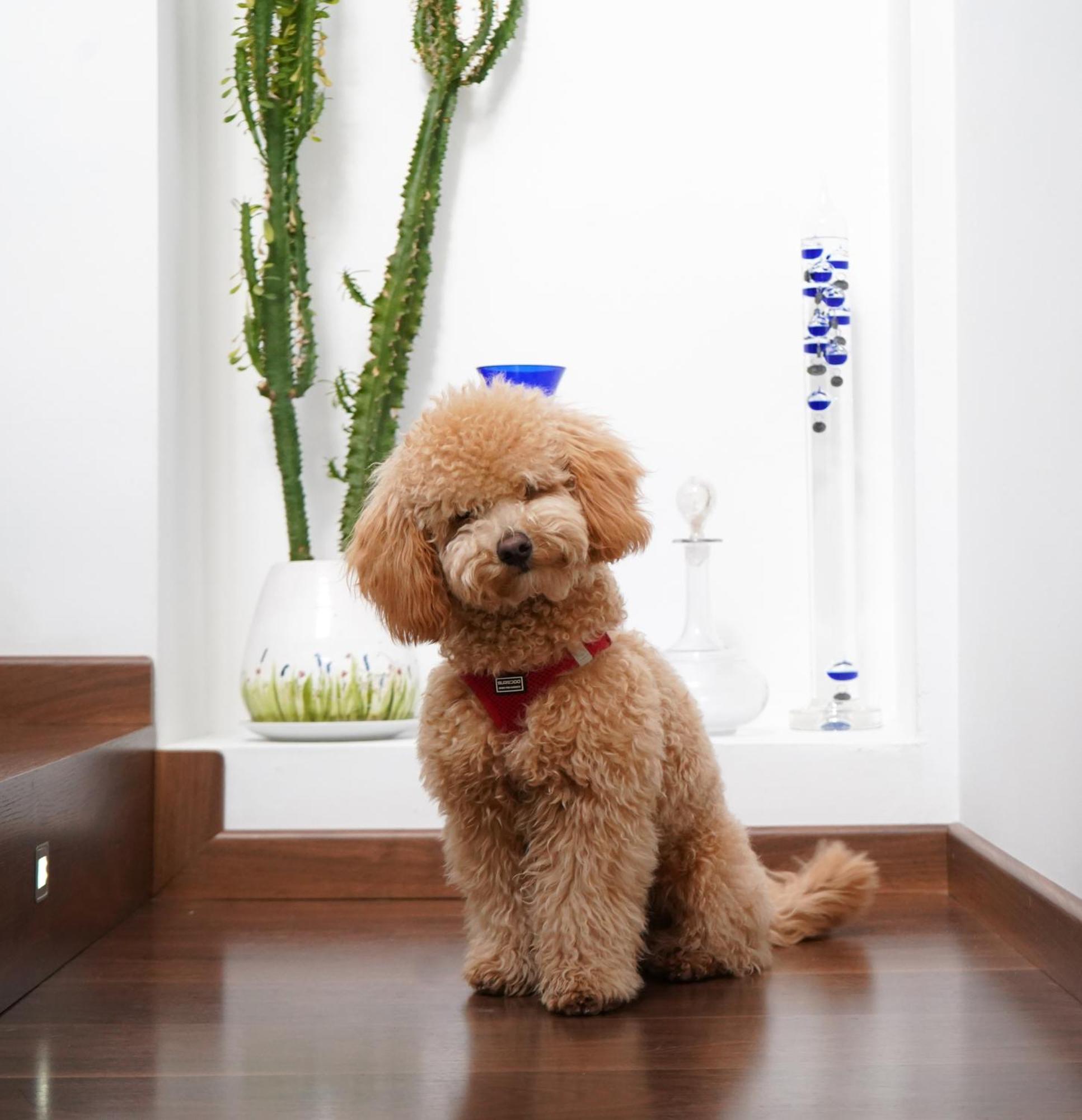 Mardenit Hotel Boutique (Adults Only) Orba エクステリア 写真